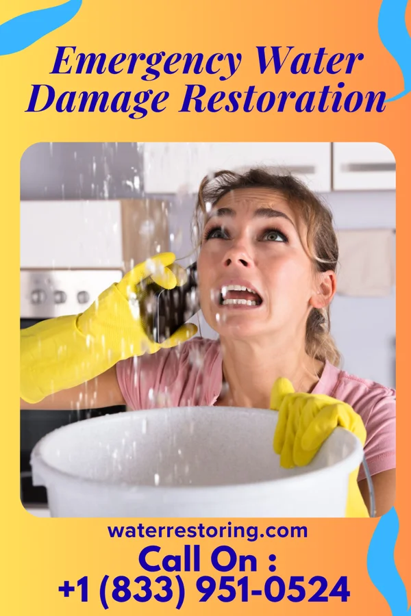 Emergency Water Damage Restoration in Palmyra, MO